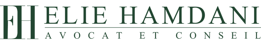 Elie Hamdani,Avocat et Conseil